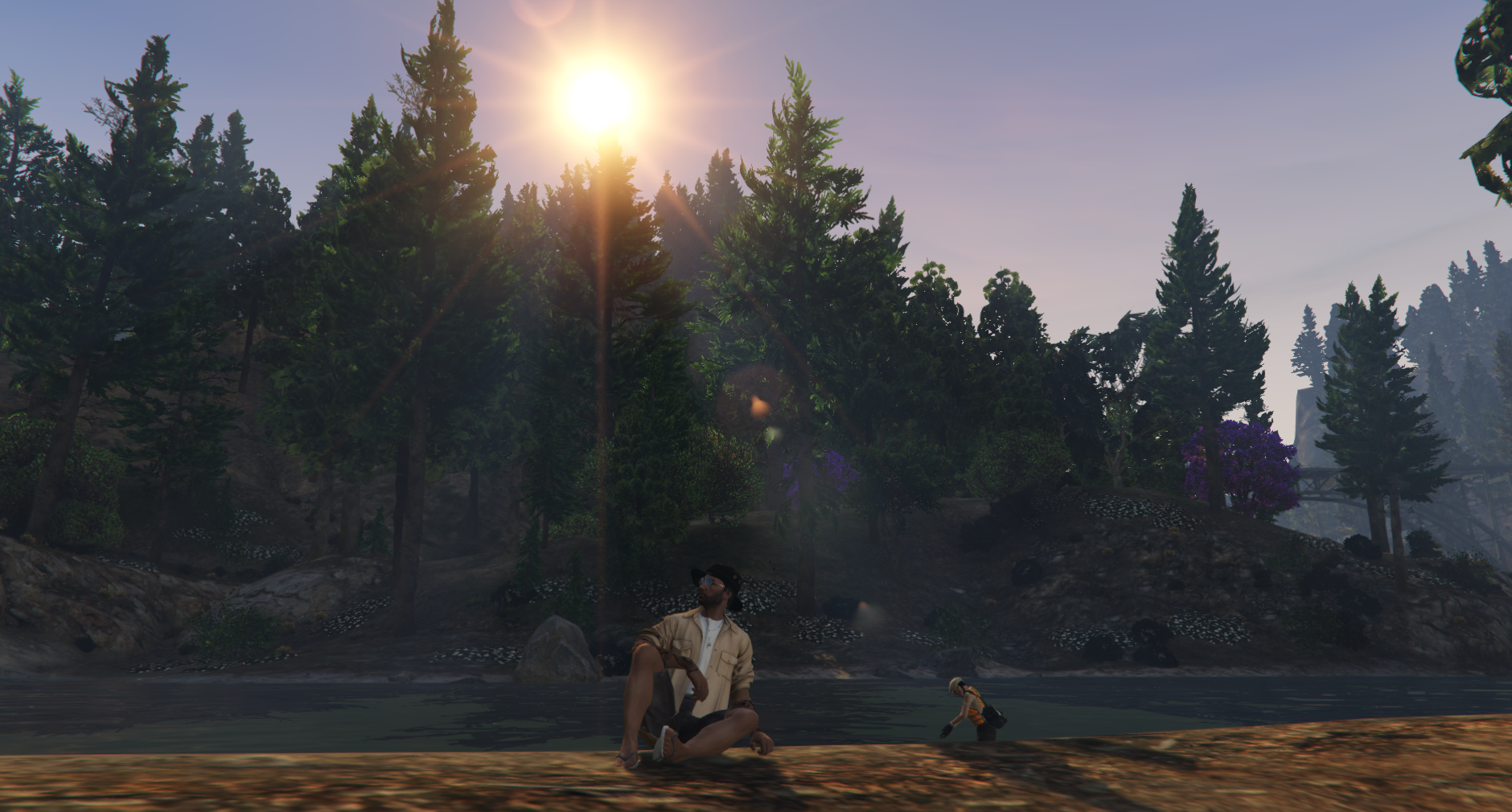 Photo 42